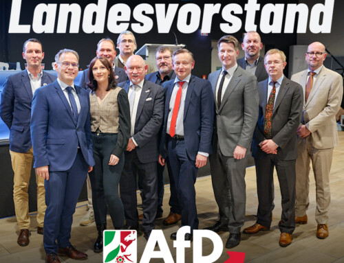 Landesparteitag AfD NRW 2024